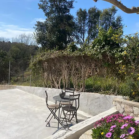 Casa La Alegria Holiday home