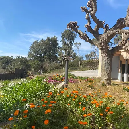 Casa La Alegria Holiday home