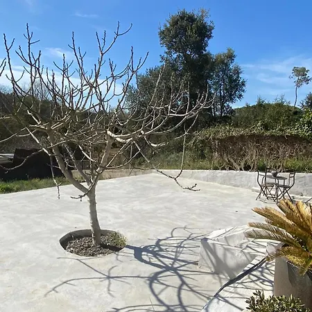 Casa La Alegria Holiday home *